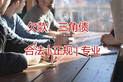 大丰清债公司